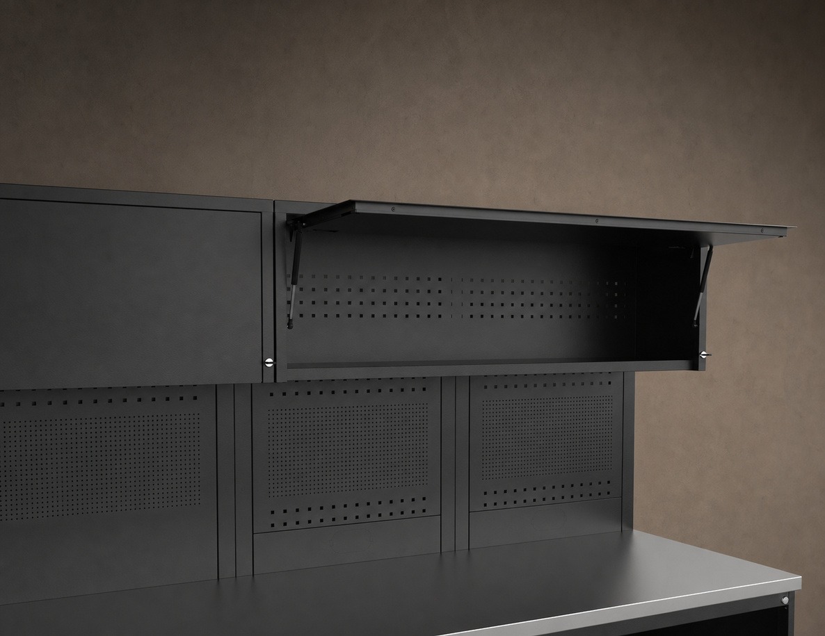 Exorya Wide single-arm wall cabinet